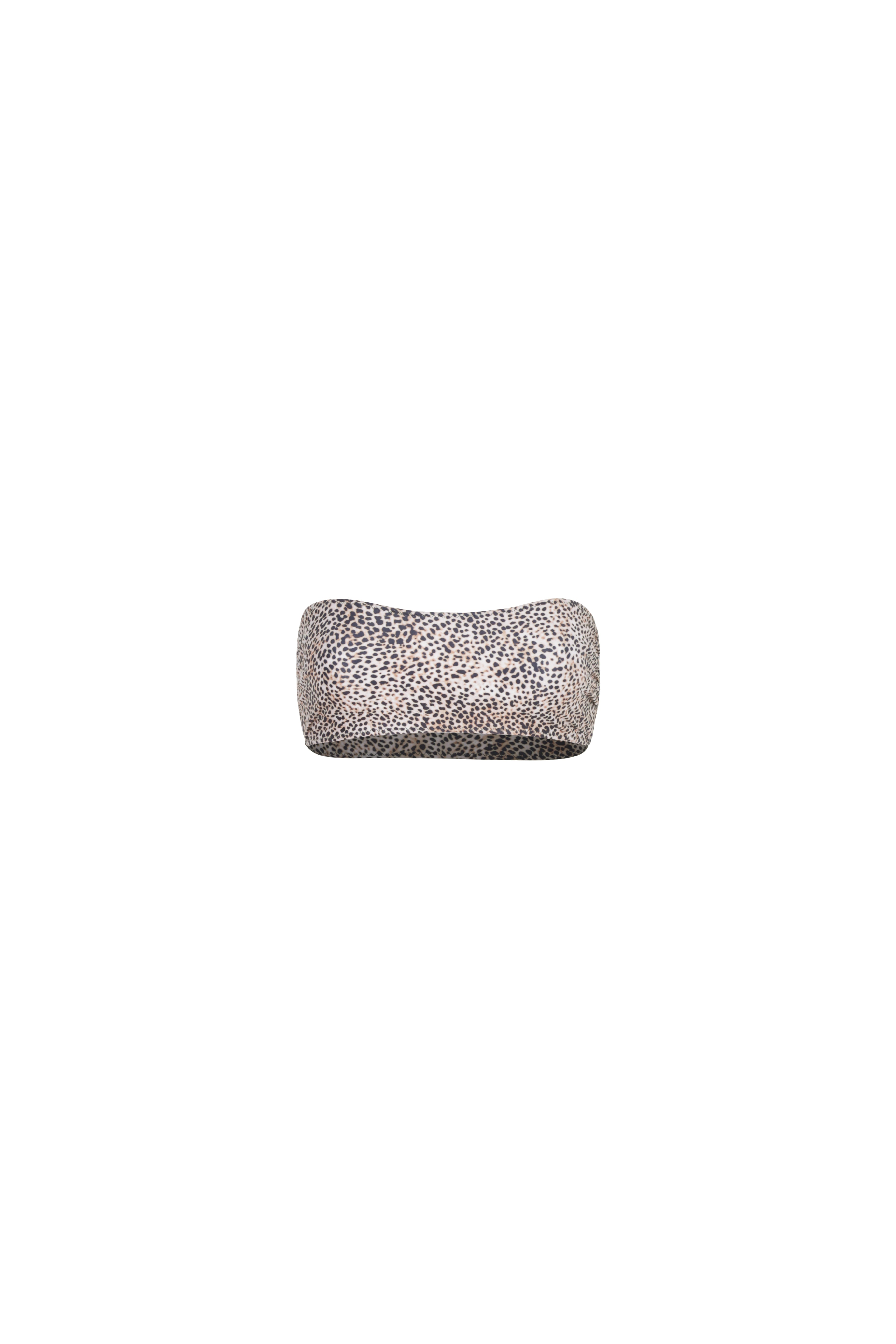 LEOPARD — Top alternate view