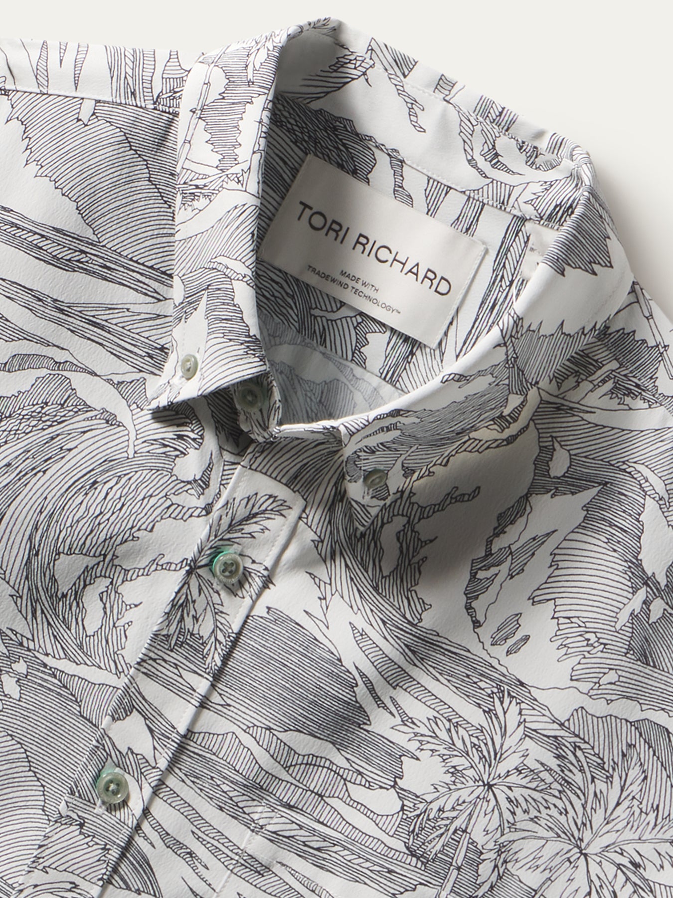 Profile view of the button-down collar