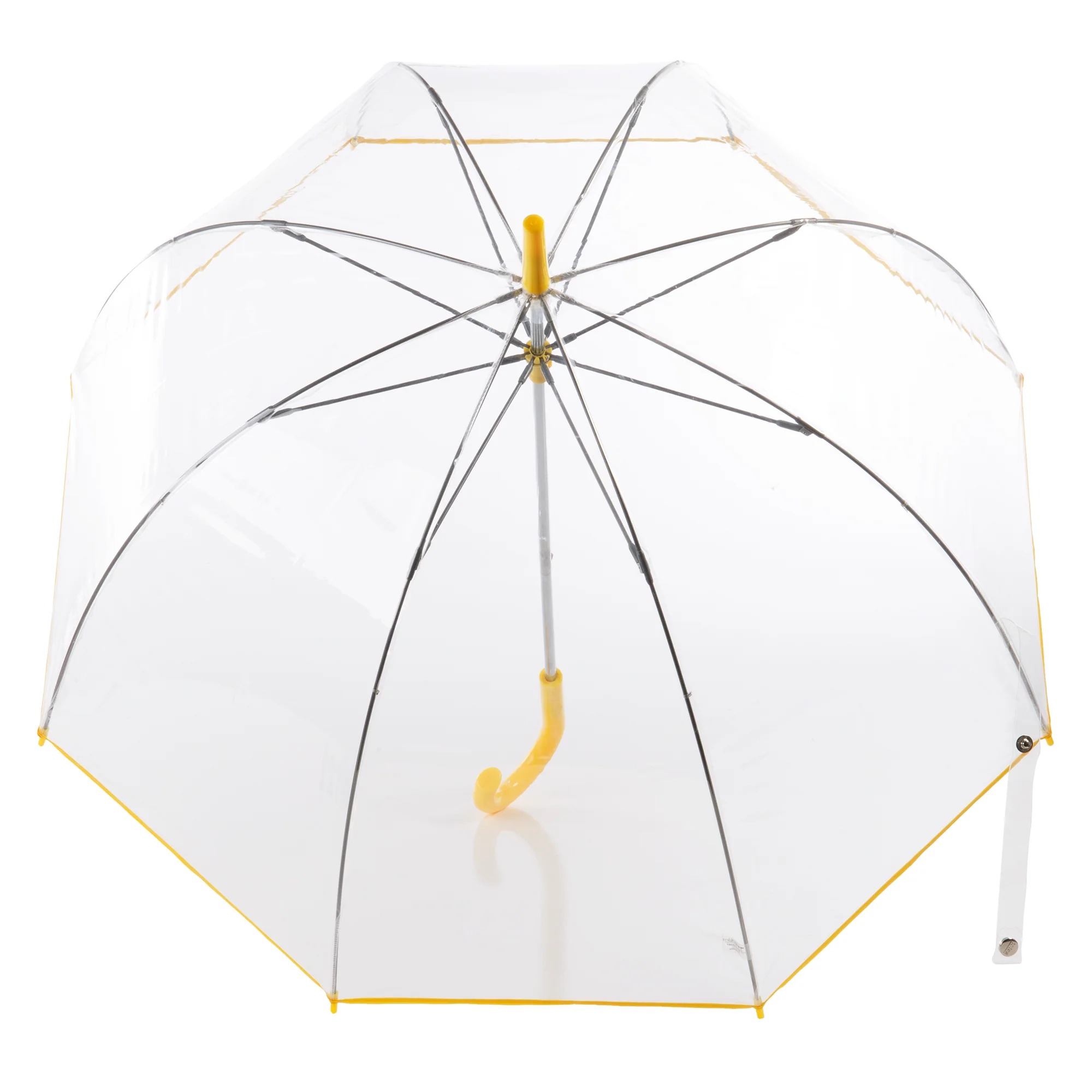 front view of the curved clear canopy