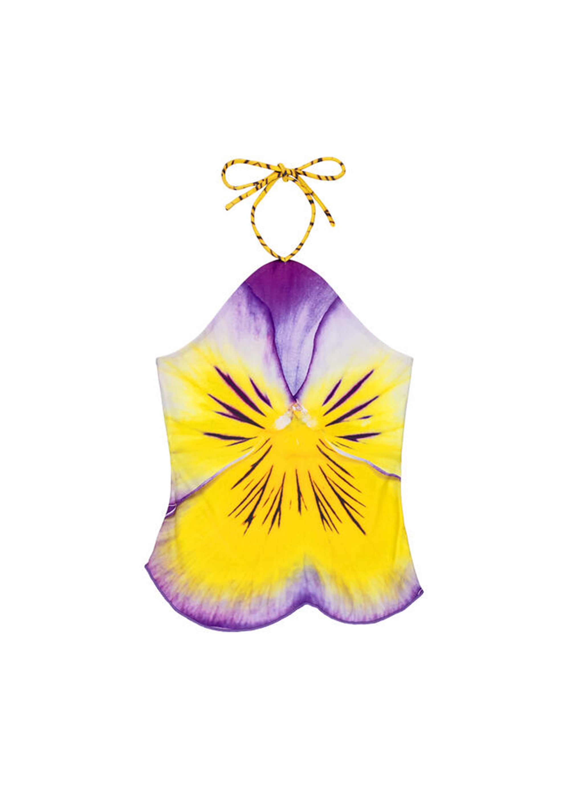 Pansy Halter