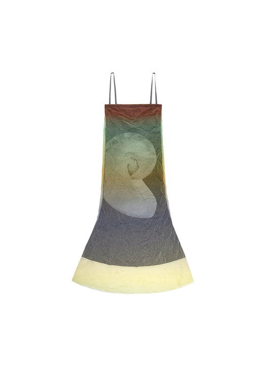 Rainbow Fossil Dress