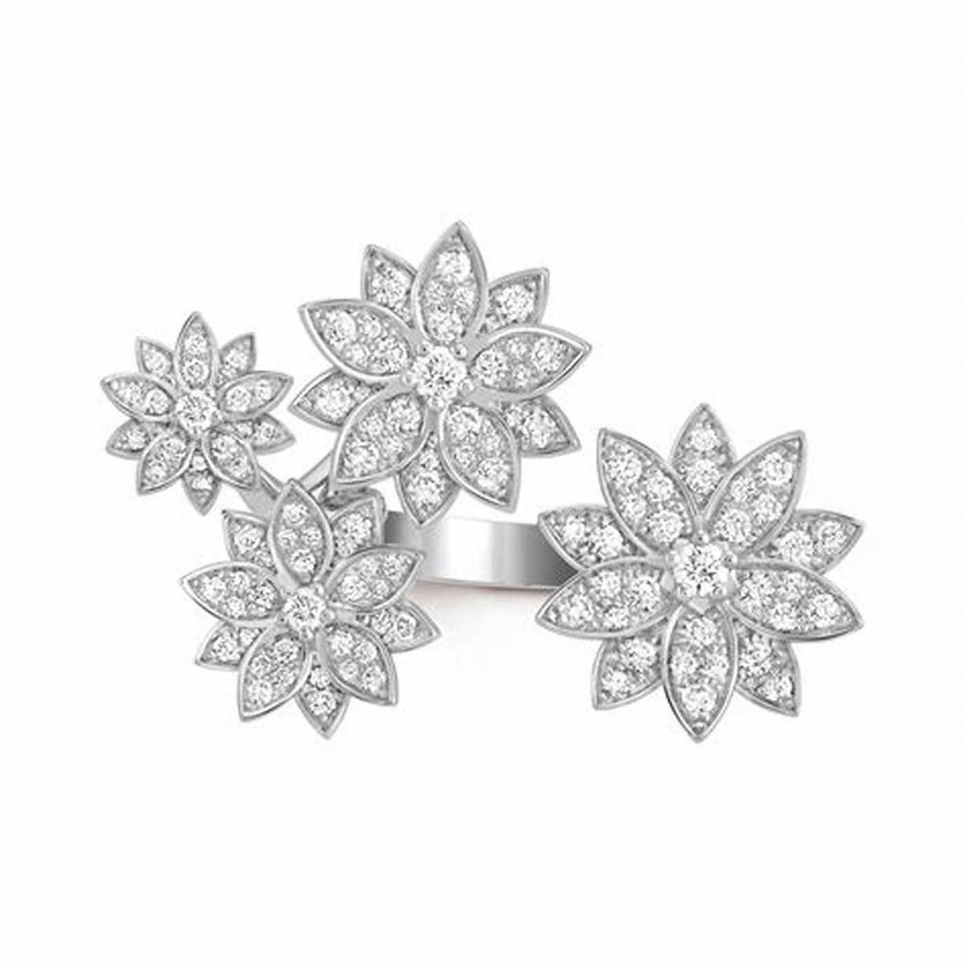Lotus Between the Finger Ring, 4 Flowers