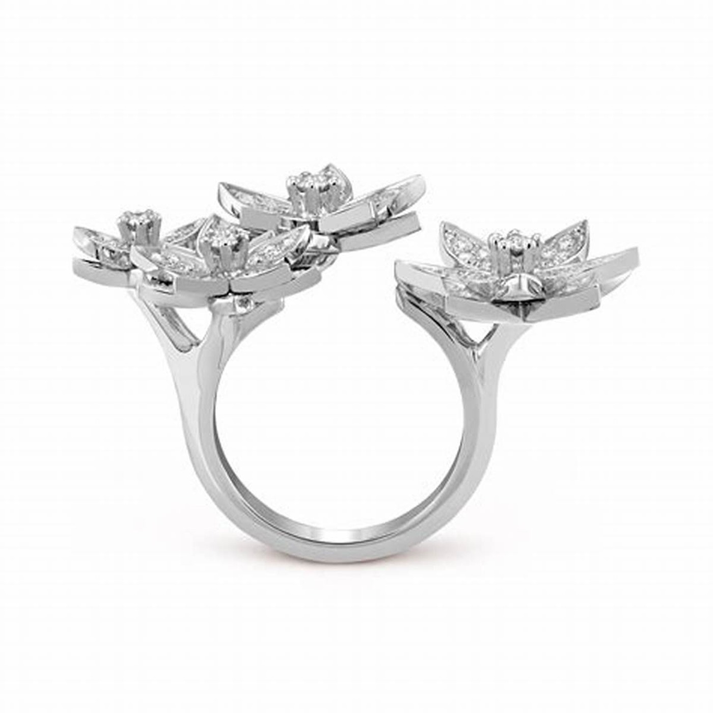 profile view of ring structure