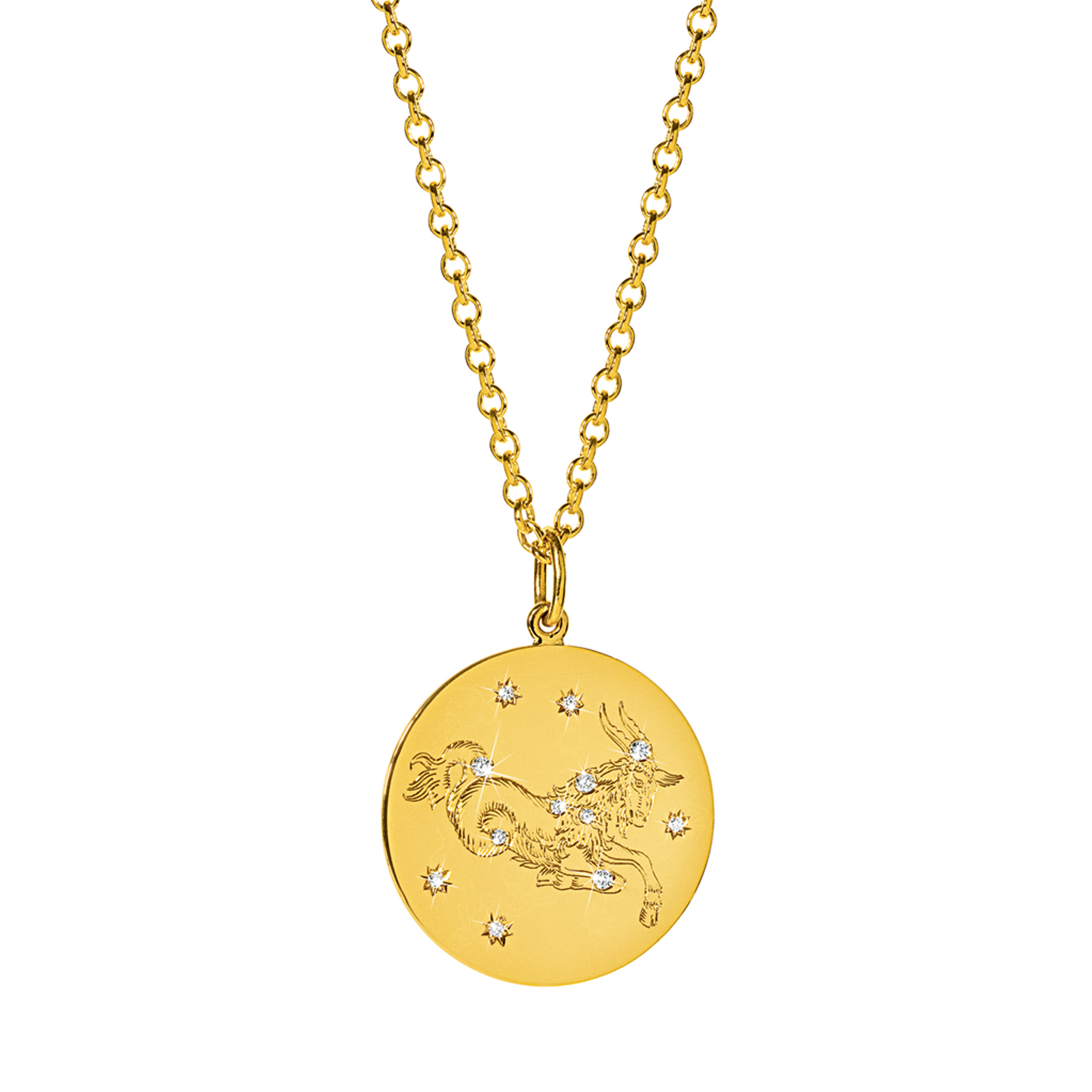 Zodiac Pendant Necklace - Capricorn detail