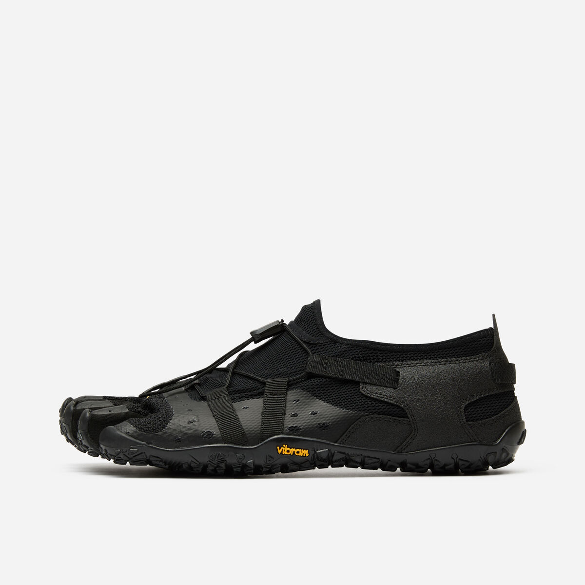 Spidrwalk