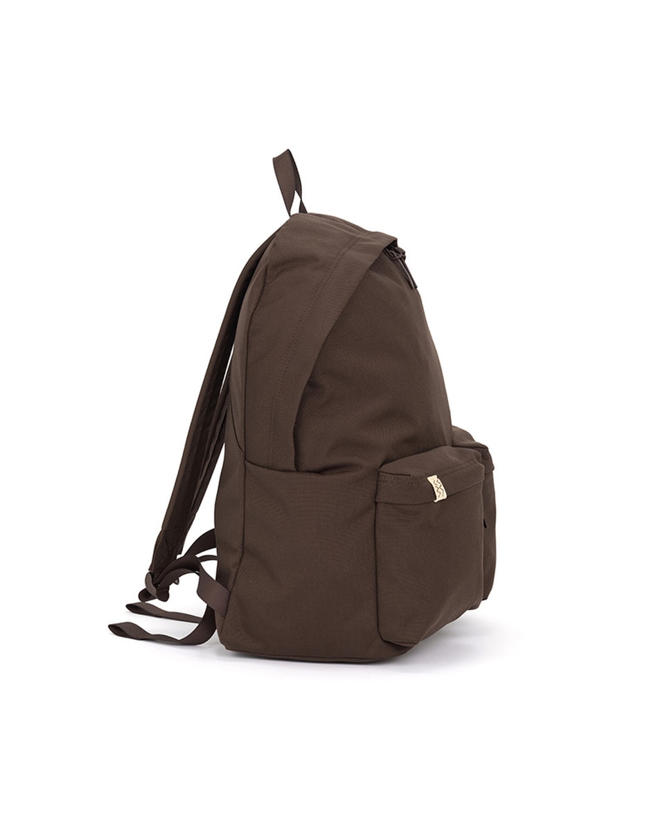 Back panel and straps