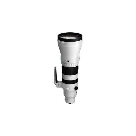 Sigma 300-600mm f/4 DG OS Sports Lens (L-Mount)