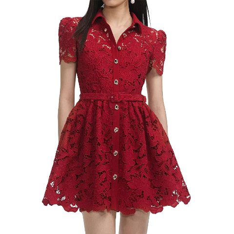 Self-Portrait Burgundy Lace Collared Mini Dress
