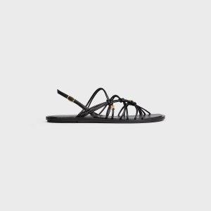 Celine Minimalist New Philosophy