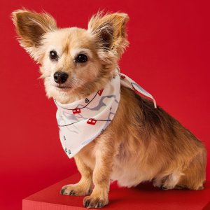Hanna Andersson Pet Bandanas