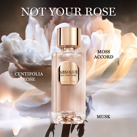 Lancome Not Your Rose