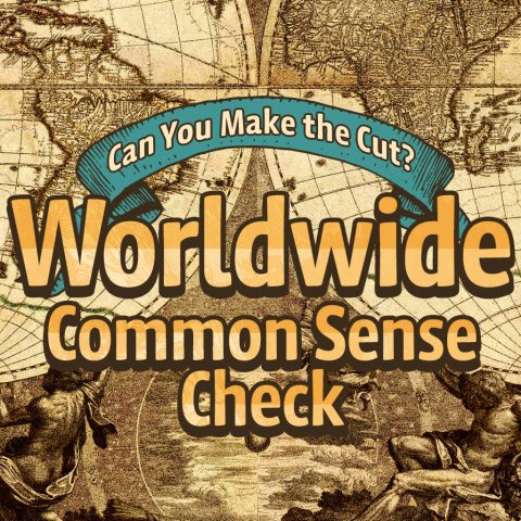 Nintendo Switch Common Sense Quiz Game