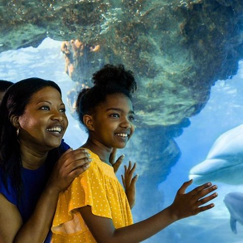 Unlimited Visits with the Free Florida Teacher Card