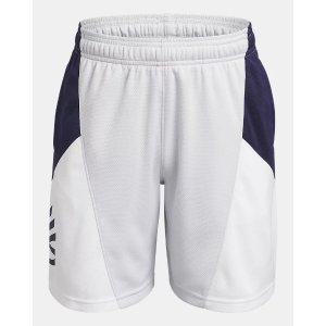 Under Armour Boys' Curry Splash Shorts Gray/White