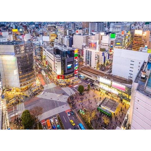 Shibuya Tours Tickets
