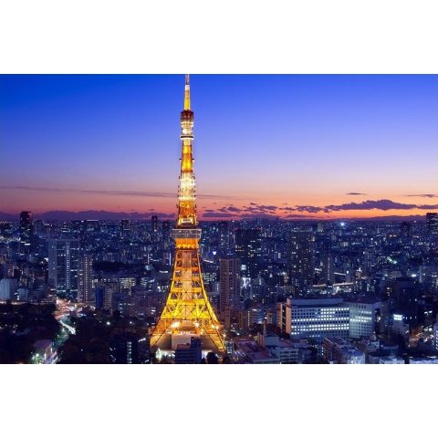 Tokyo Tower Tour Tickets