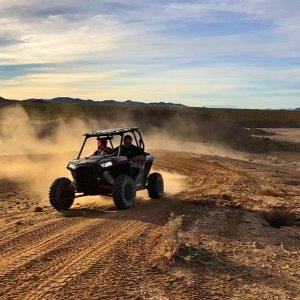 Curated Experiences for Every Type of Traveler + MORE@Viator