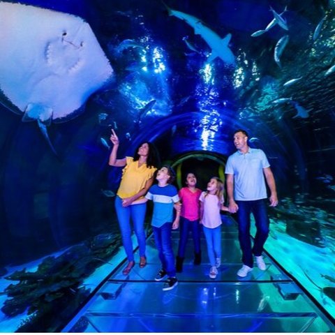 SEA LIFE Orlando Aquarium