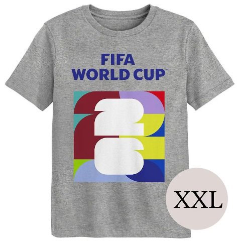 FIFA World Cup Men's Grey Multi-Color Logo T-Shirt